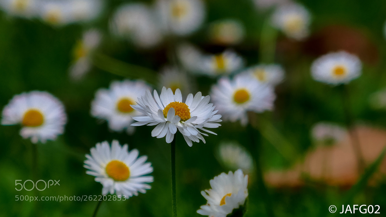 Panasonic Lumix DMC-ZS100 (Lumix DMC-TZ100) sample photo. Lr photography