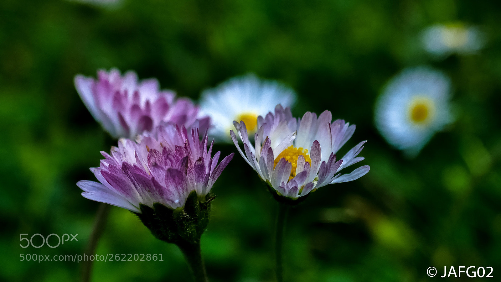 Panasonic Lumix DMC-ZS100 (Lumix DMC-TZ100) sample photo. Lr photography