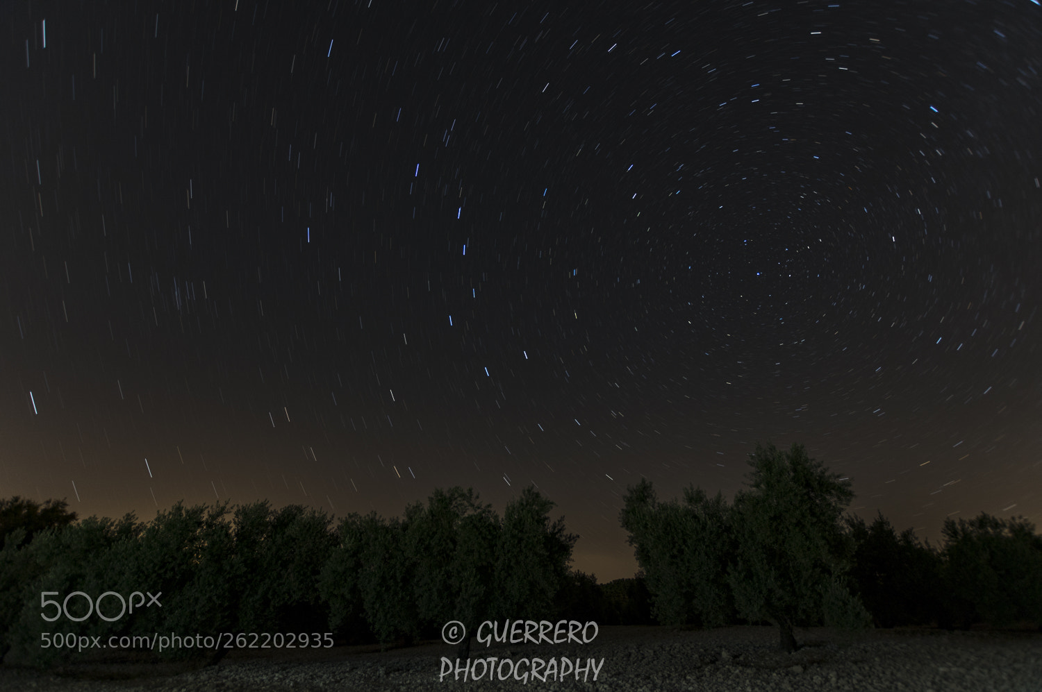 Pentax K-3 II sample photo. Entre olivos photography