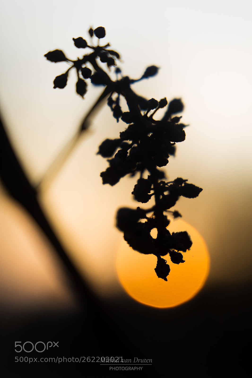Canon EOS 6D sample photo. Naamloos photography