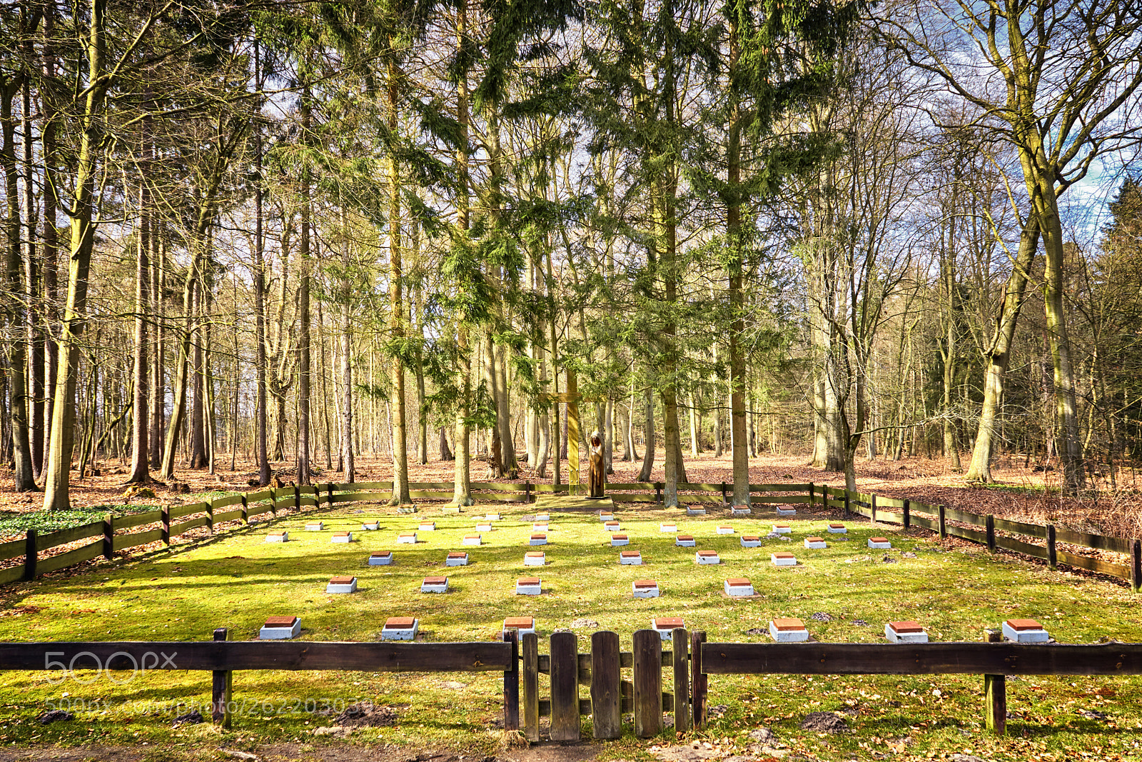 Sony a6000 sample photo. Friedhof am jagdschloss photography