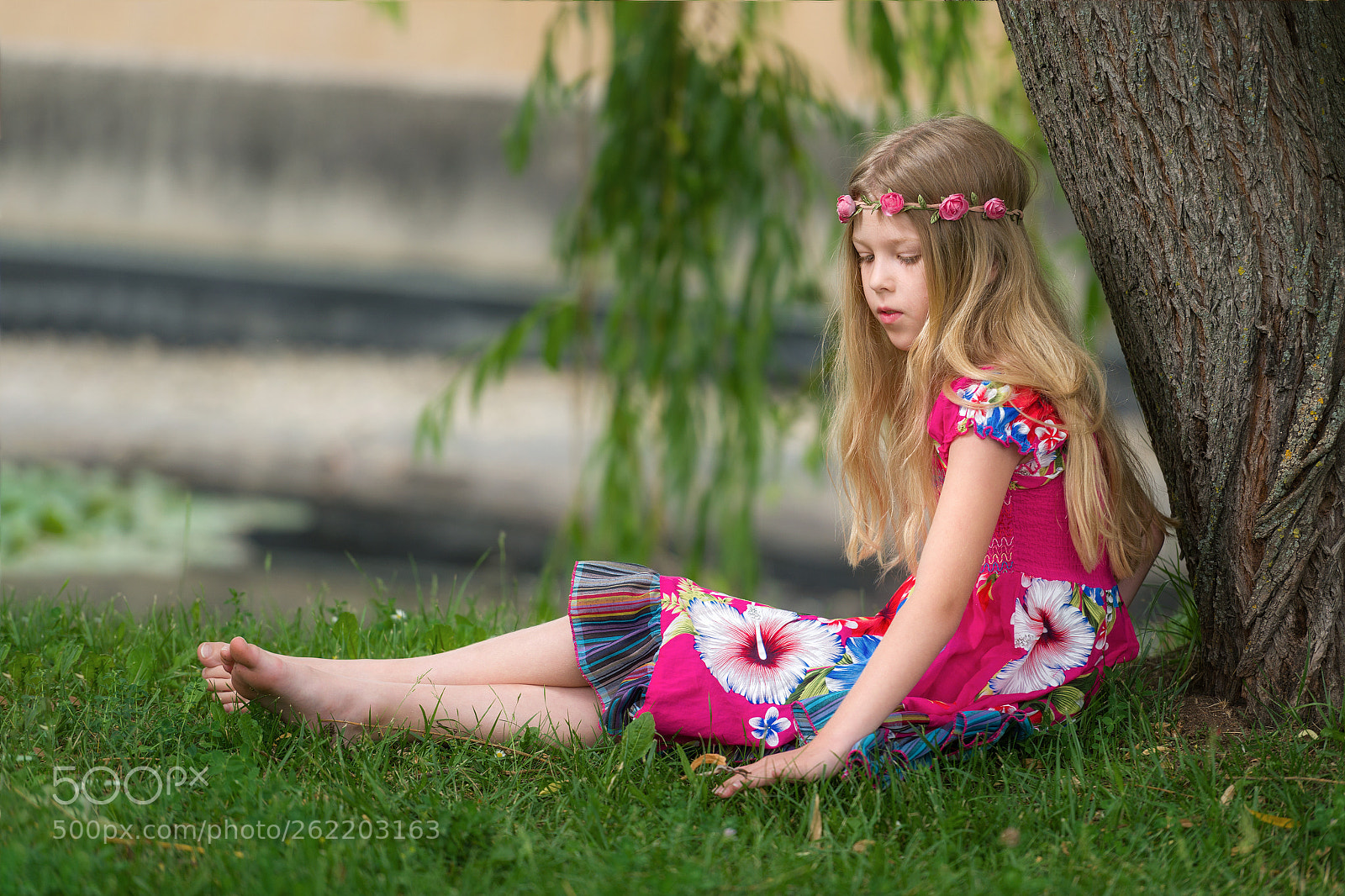 Nikon D750 sample photo. Märchenträume photography