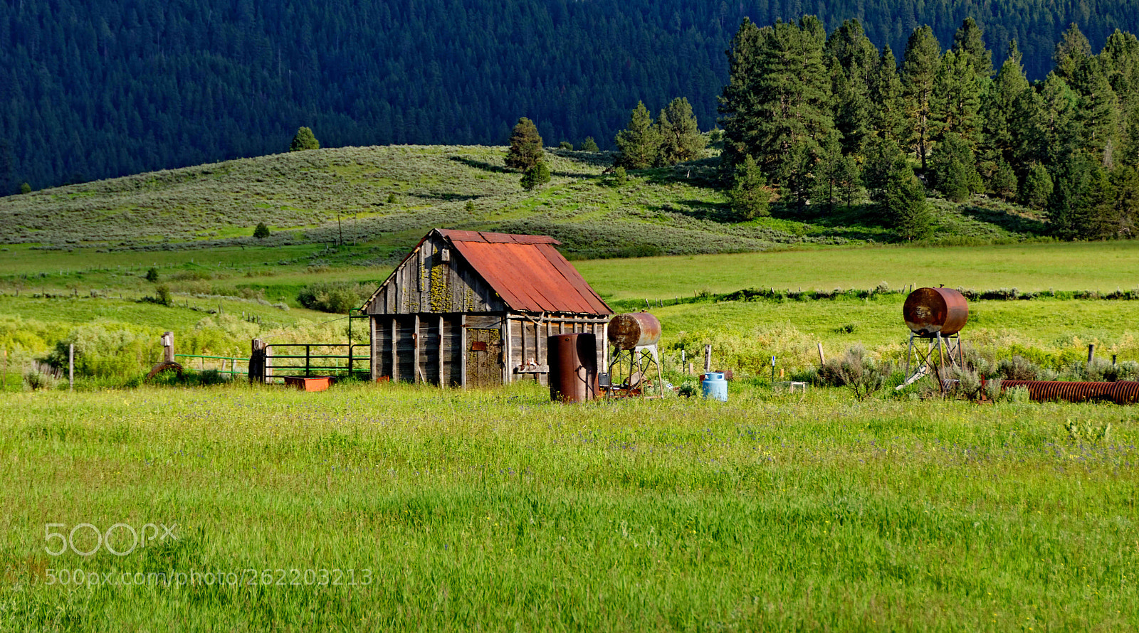 Nikon D5300 sample photo. The workshed photography