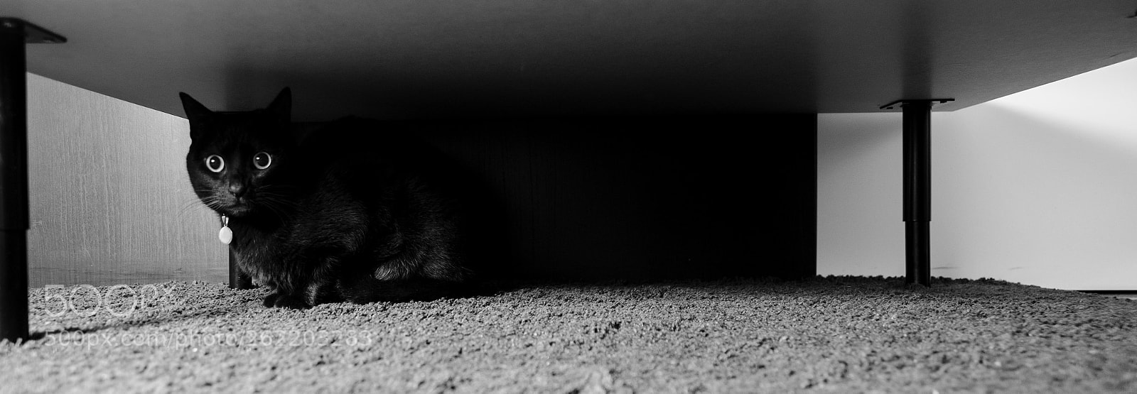 Nikon D7000 sample photo. Low profile photography