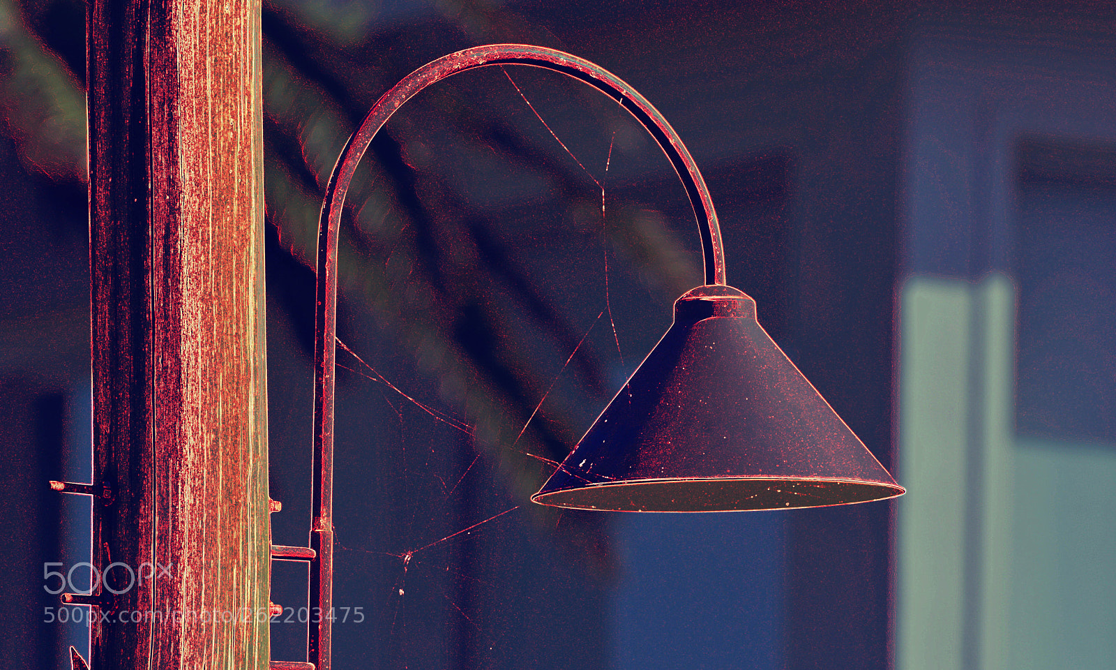 Nikon D7100 sample photo. Visiting pop art photography