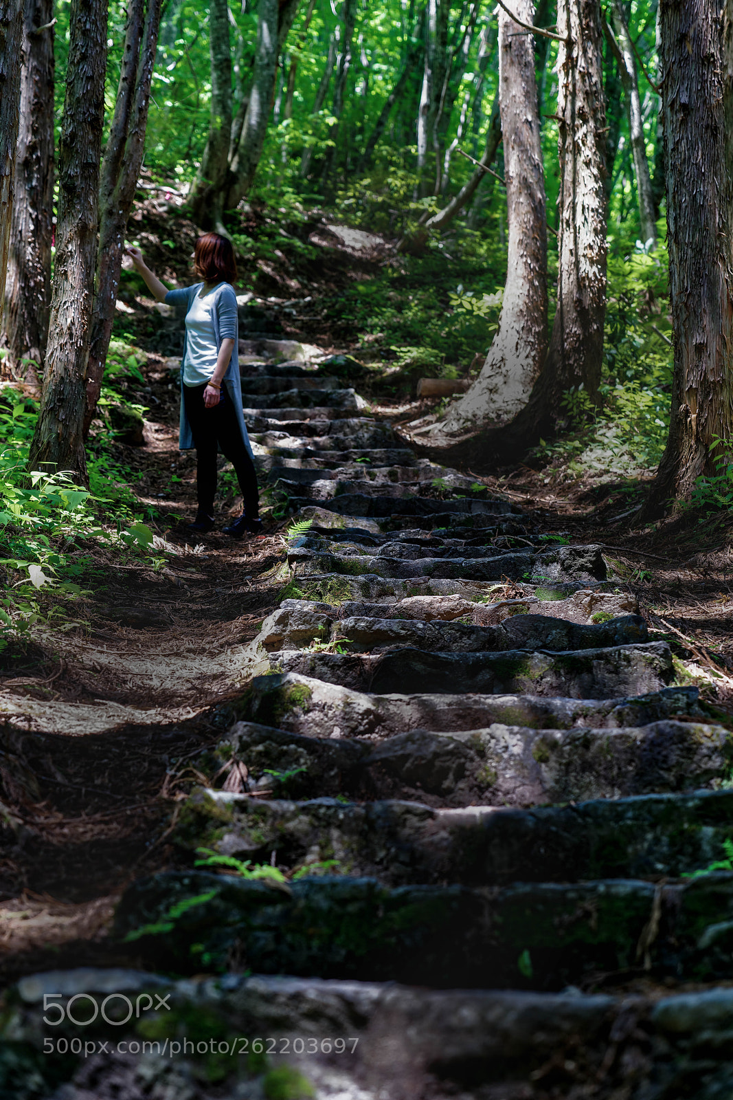 Sony a7R II sample photo. 2018061410.jpg photography
