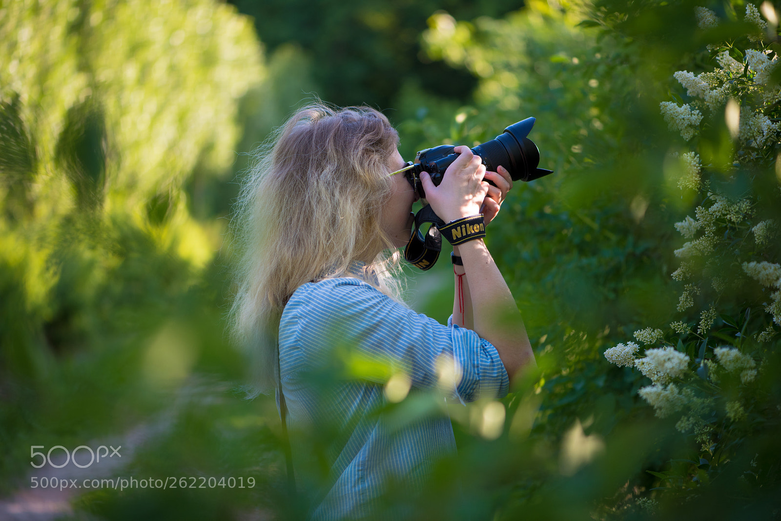 Nikon D810 sample photo. Untitled photography