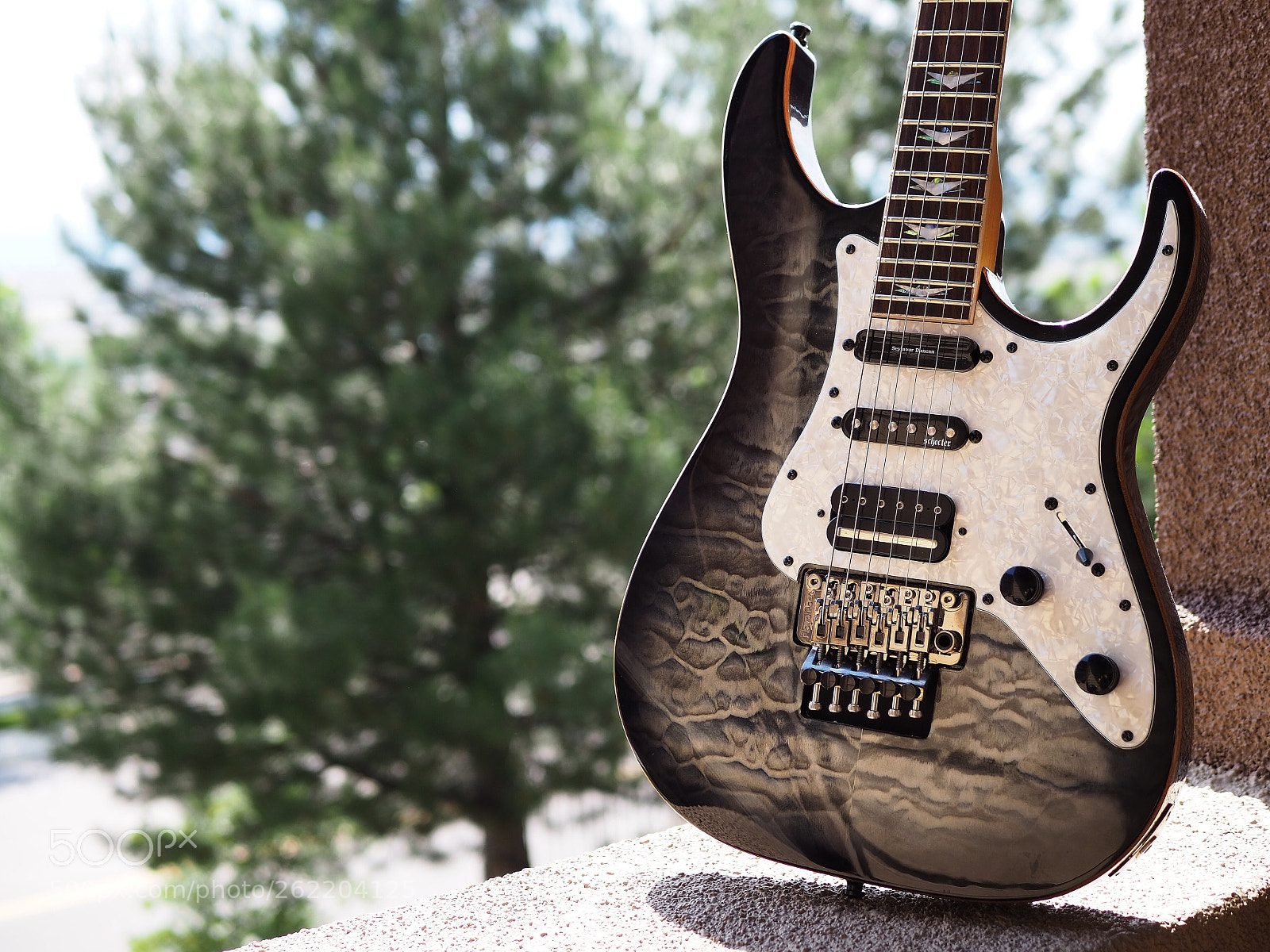 Olympus OM-D E-M10 III sample photo. Schecter banshee extreme  photography
