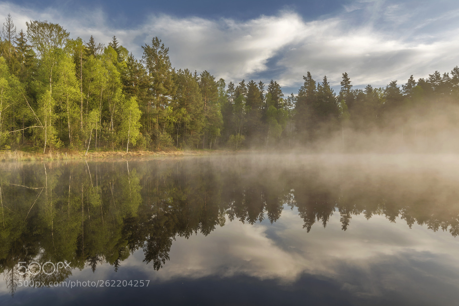 Nikon D5200 sample photo. Forest lake photography