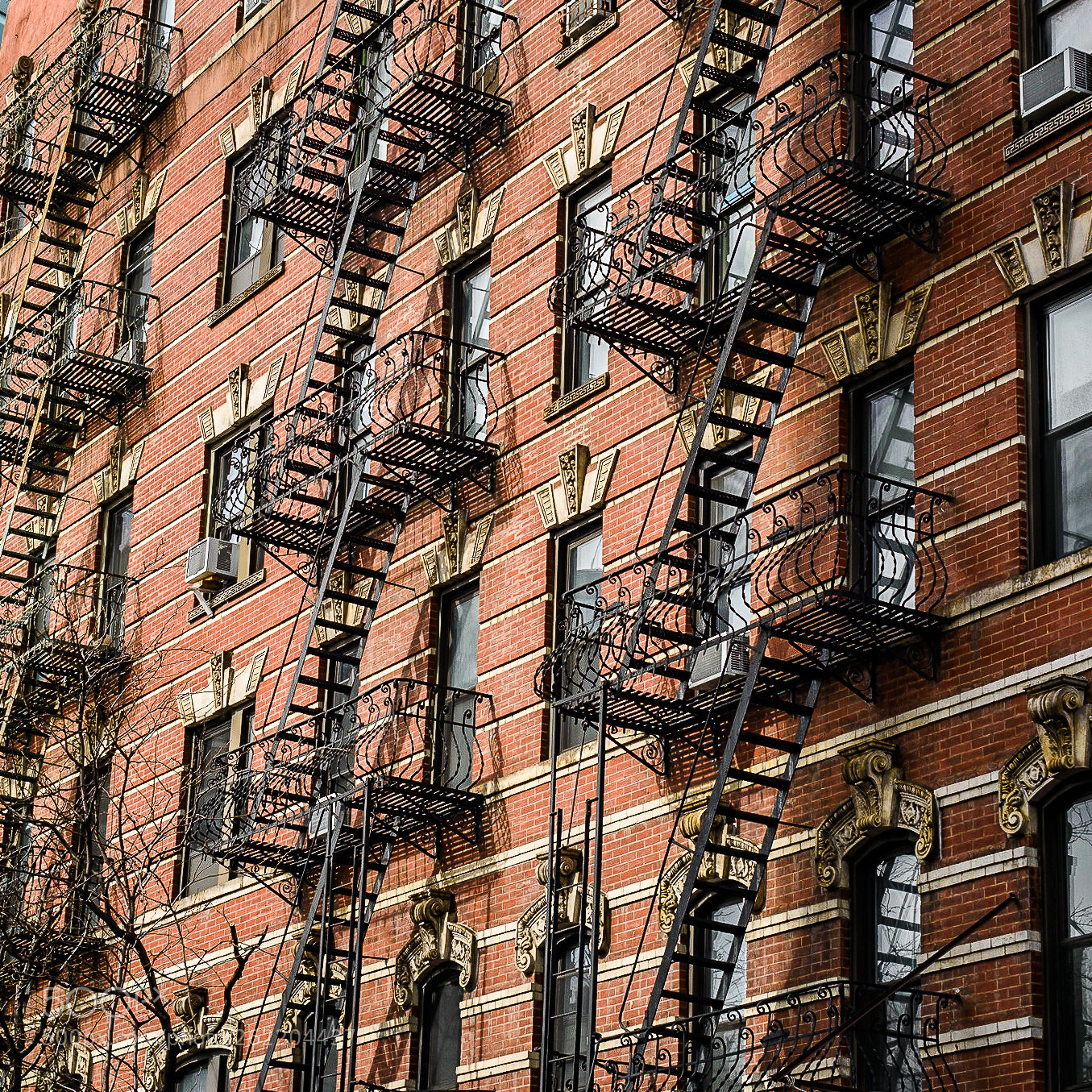 Nikon D810 sample photo. Soho's rhythm photography