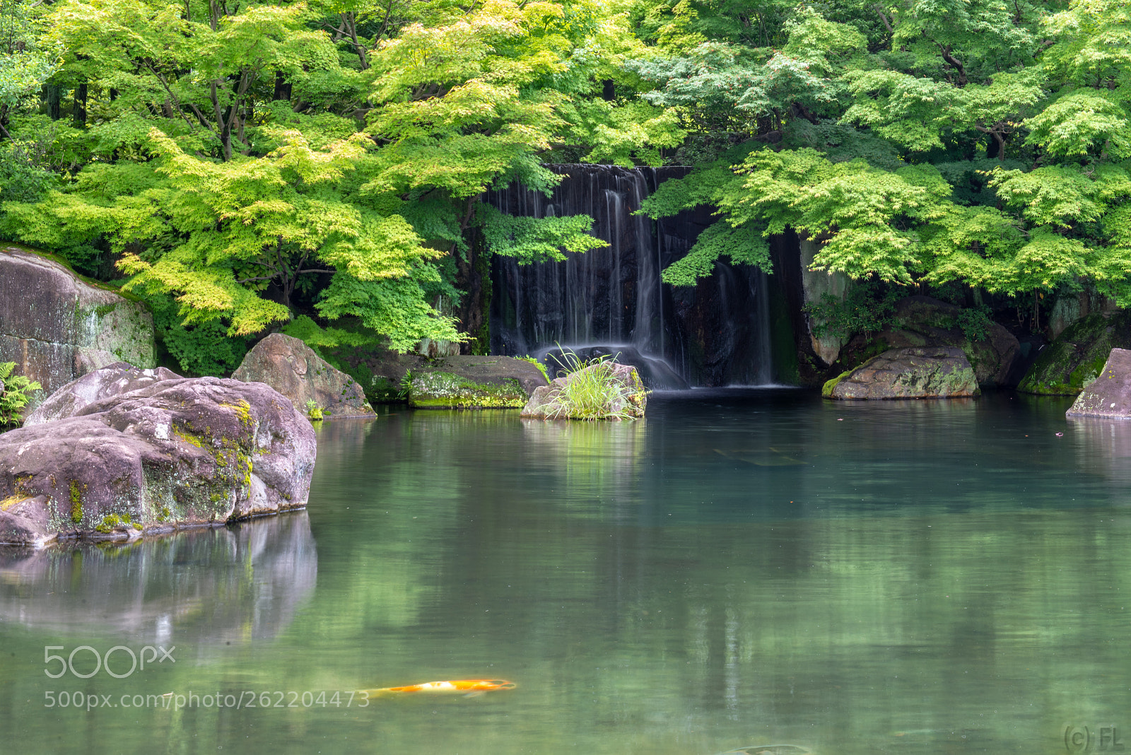 Nikon D610 sample photo. Japanese garden pond photography