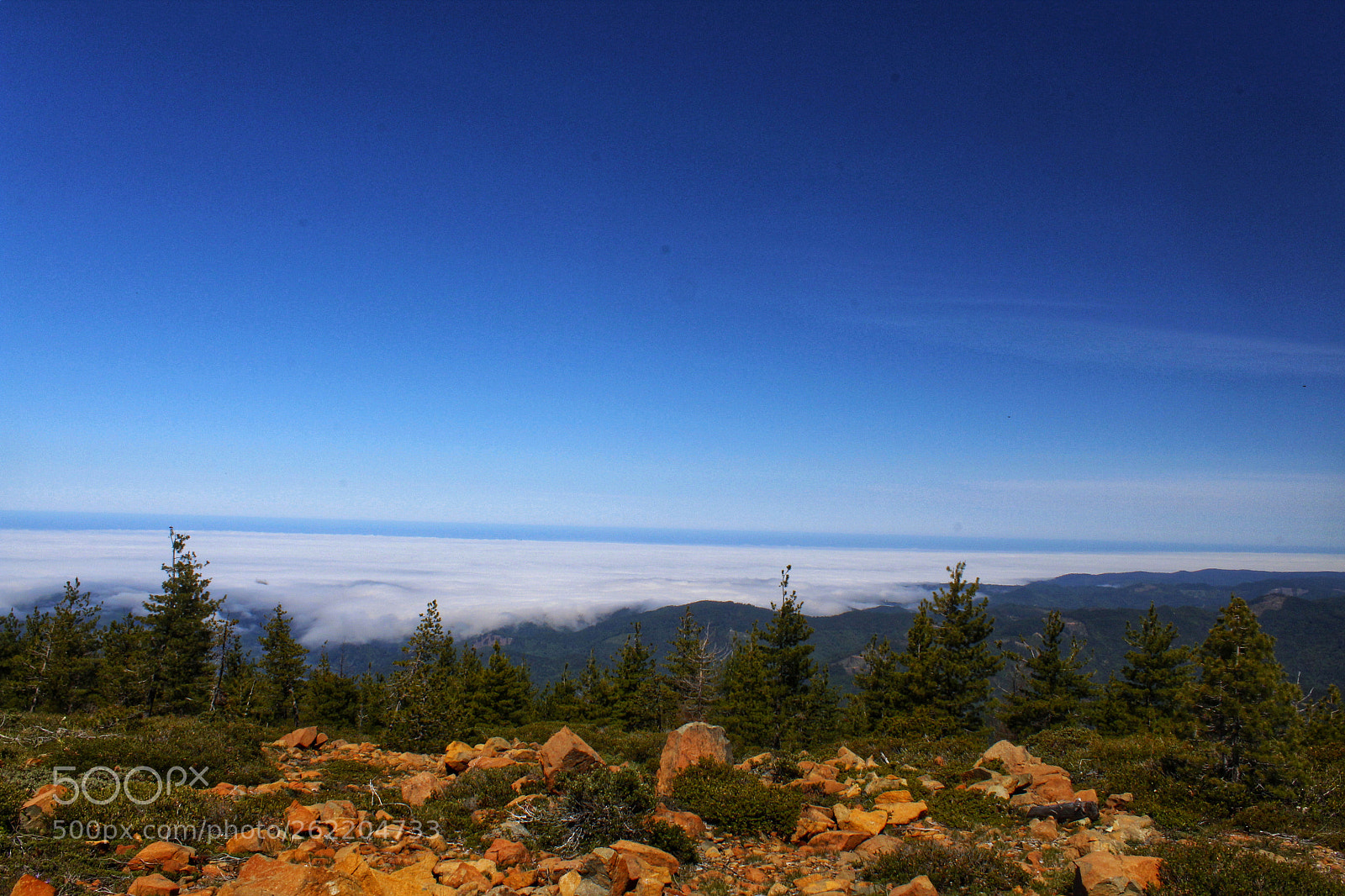 Canon EOS 1300D (EOS Rebel T6 / EOS Kiss X80) sample photo. Above the fog photography
