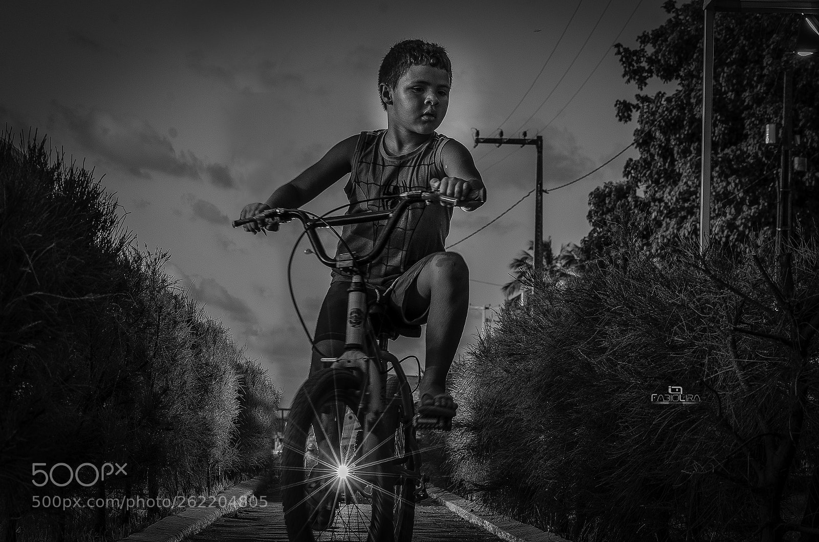 Nikon D7000 sample photo. Untitled photography