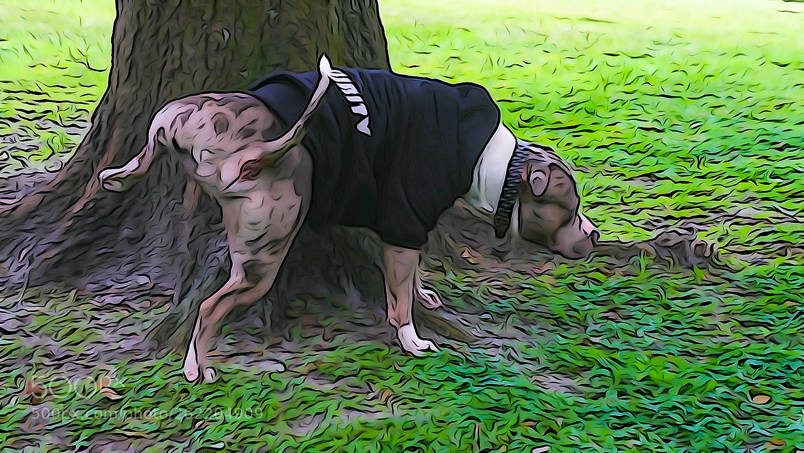 Sony a7R II sample photo. Security dog photography