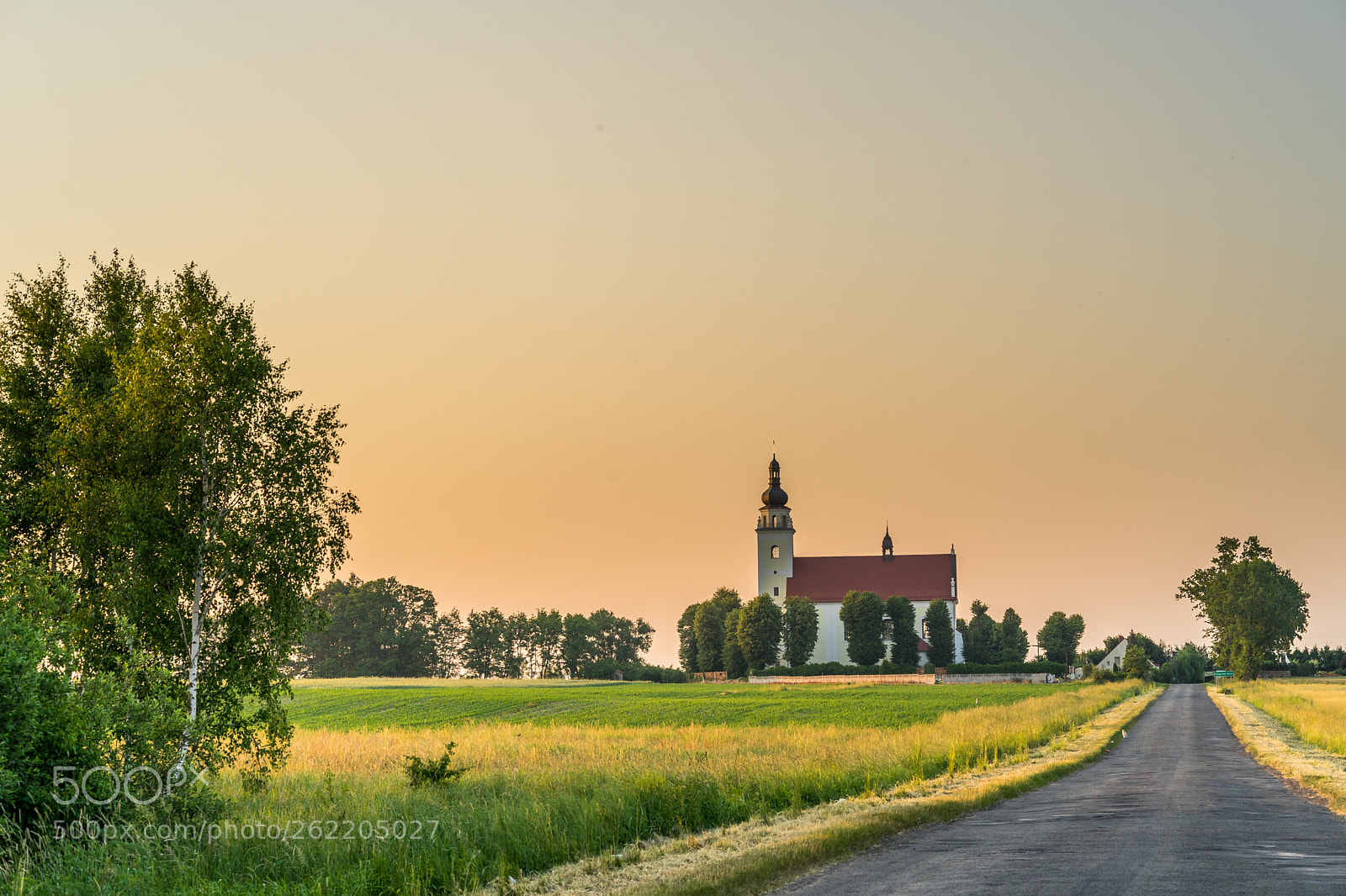 Sony a7 II sample photo. Church photography