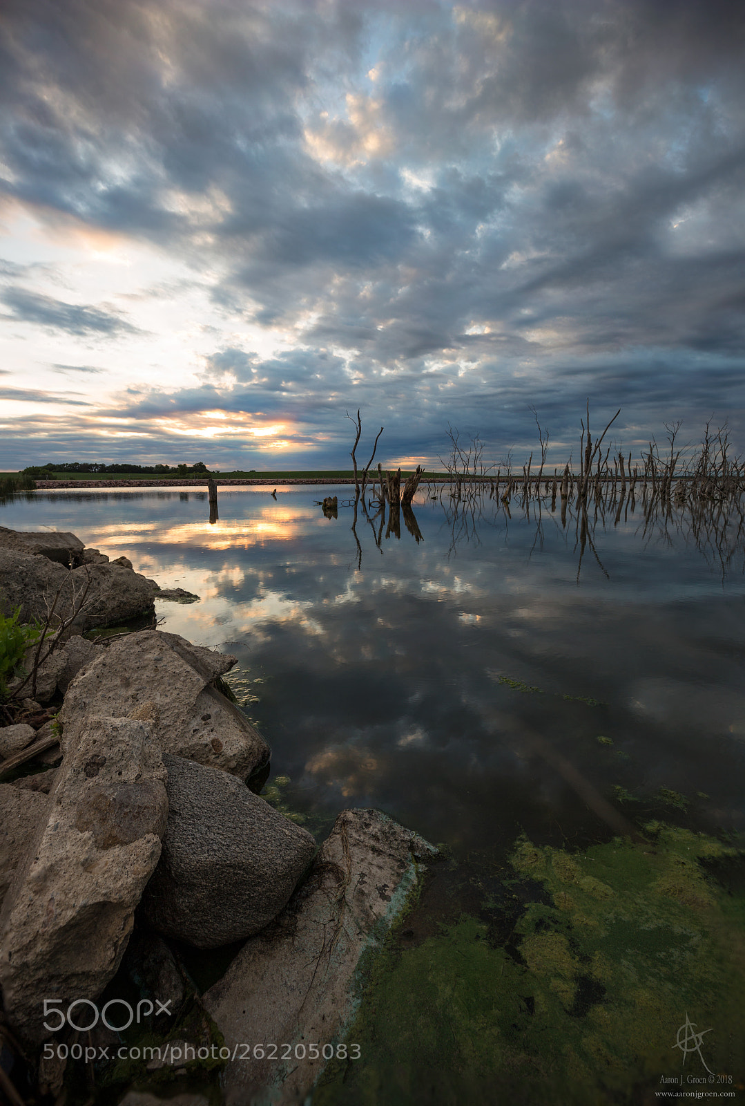 Canon EOS 6D sample photo. 81 ponds photography