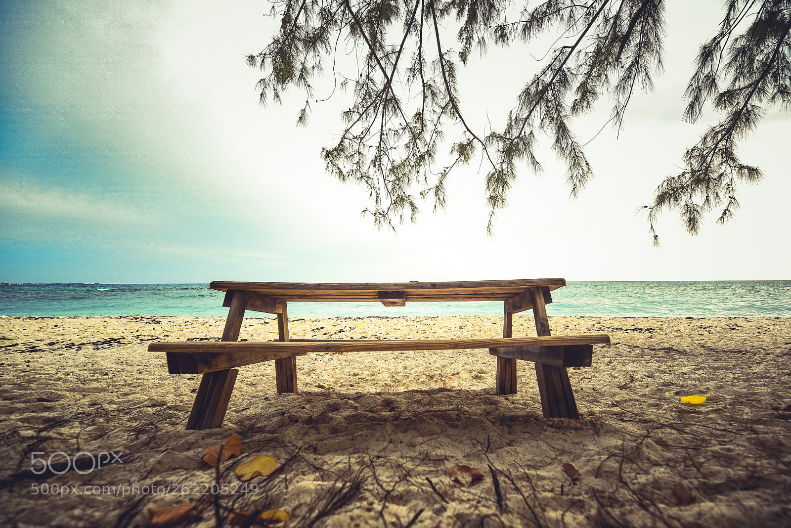 Nikon D750 sample photo. Horizon table photography