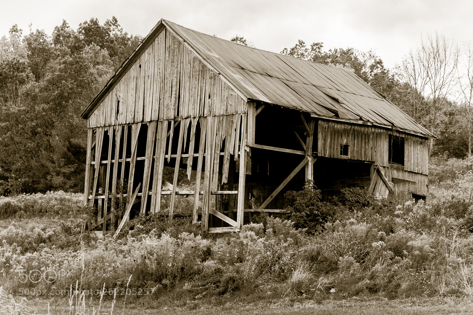 Canon EOS 5D sample photo. Old barn photography