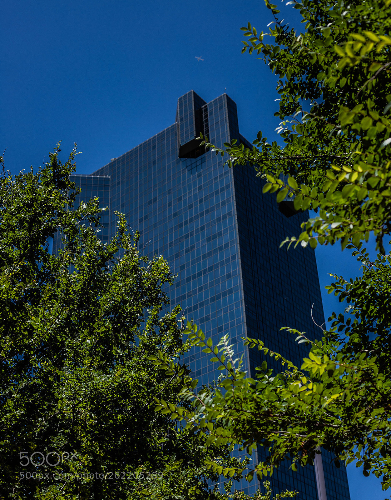 Canon EOS 6D Mark II sample photo. Fort worth - tx photography