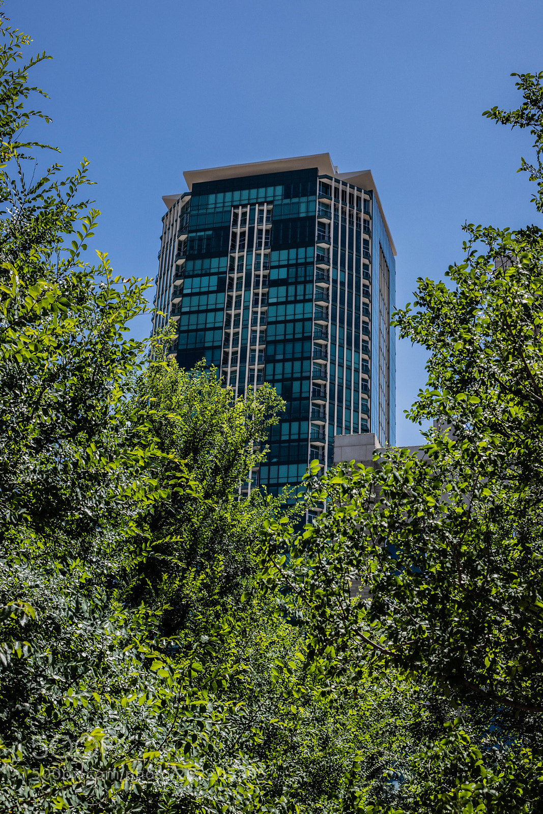 Canon EOS 6D Mark II sample photo. Fort worth - tx photography