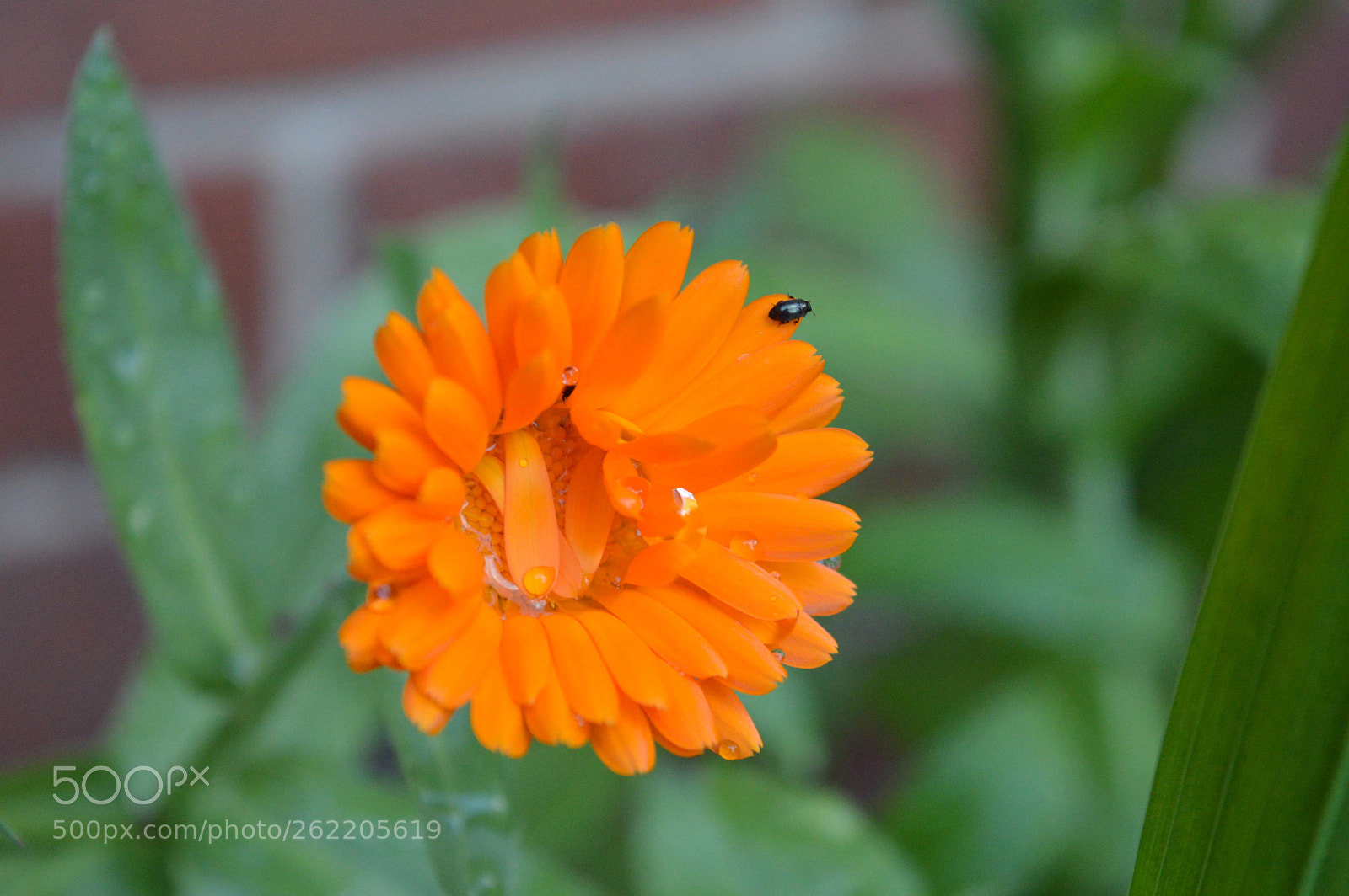Nikon D3200 sample photo. Just testing! photography