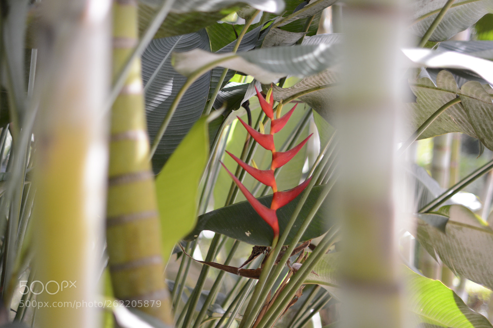 Nikon D7100 sample photo. Untitled photography