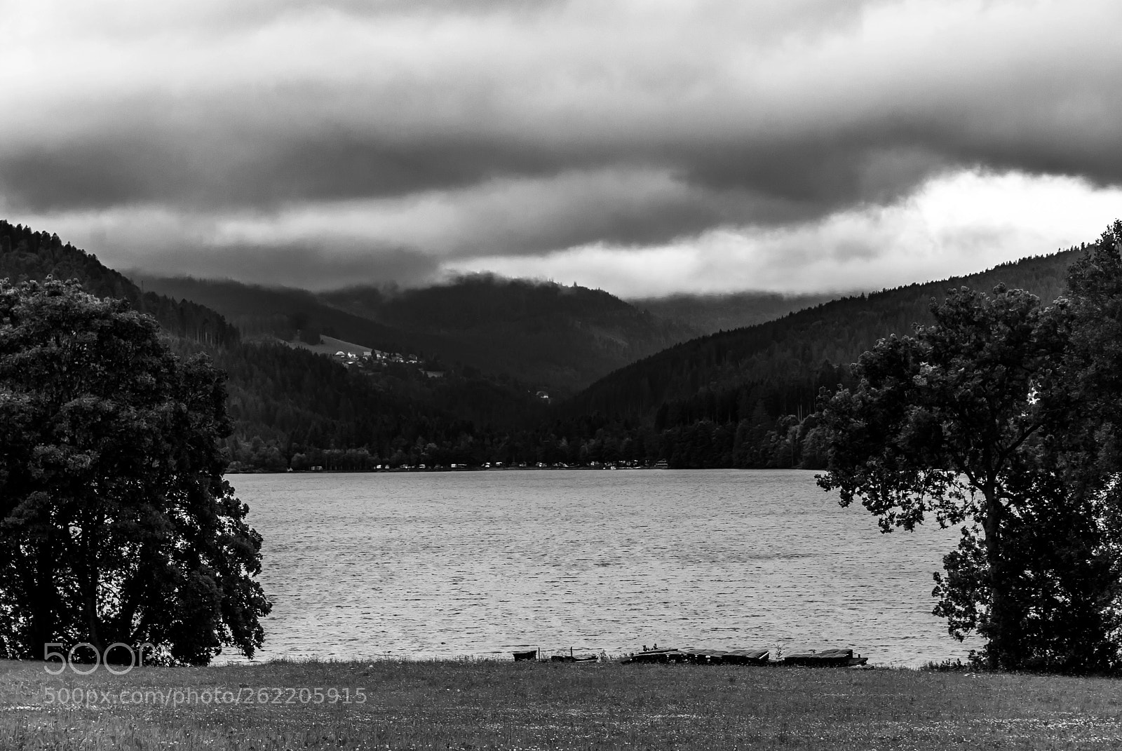 Nikon D40X sample photo. Titisee bnw photography