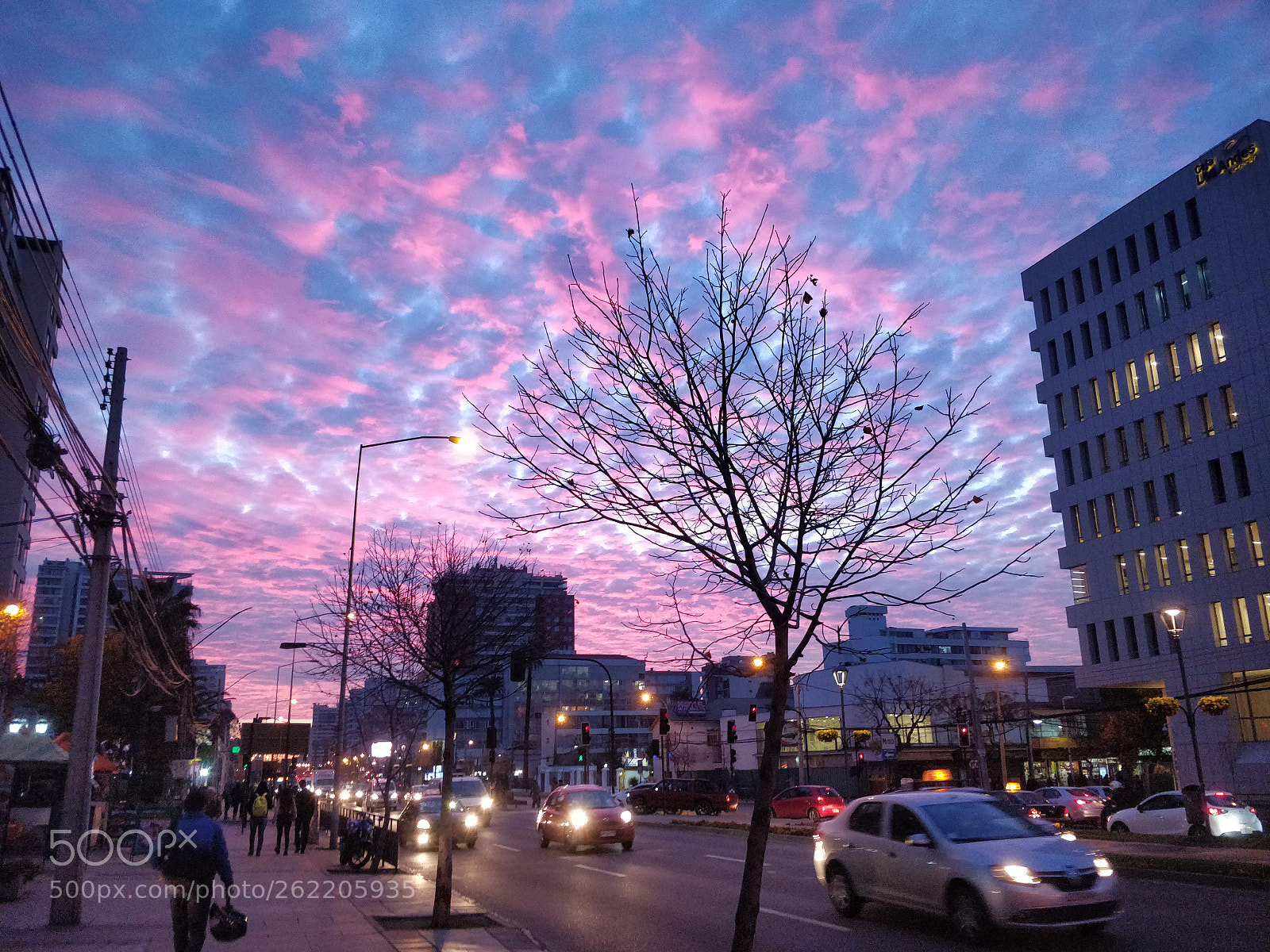 OnePlus 5 sample photo. Untitled photography