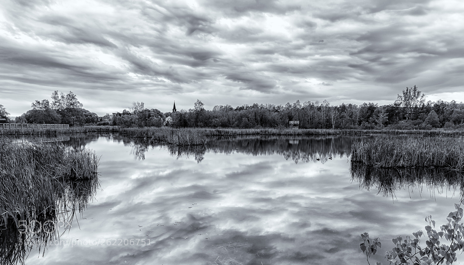 Canon EOS 5D Mark II sample photo. Quite pond photography