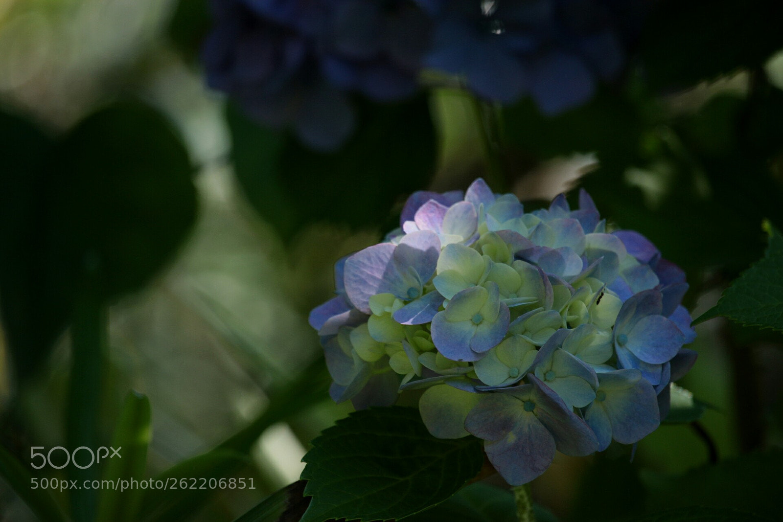 Canon EOS 70D sample photo. Light and shadow photography
