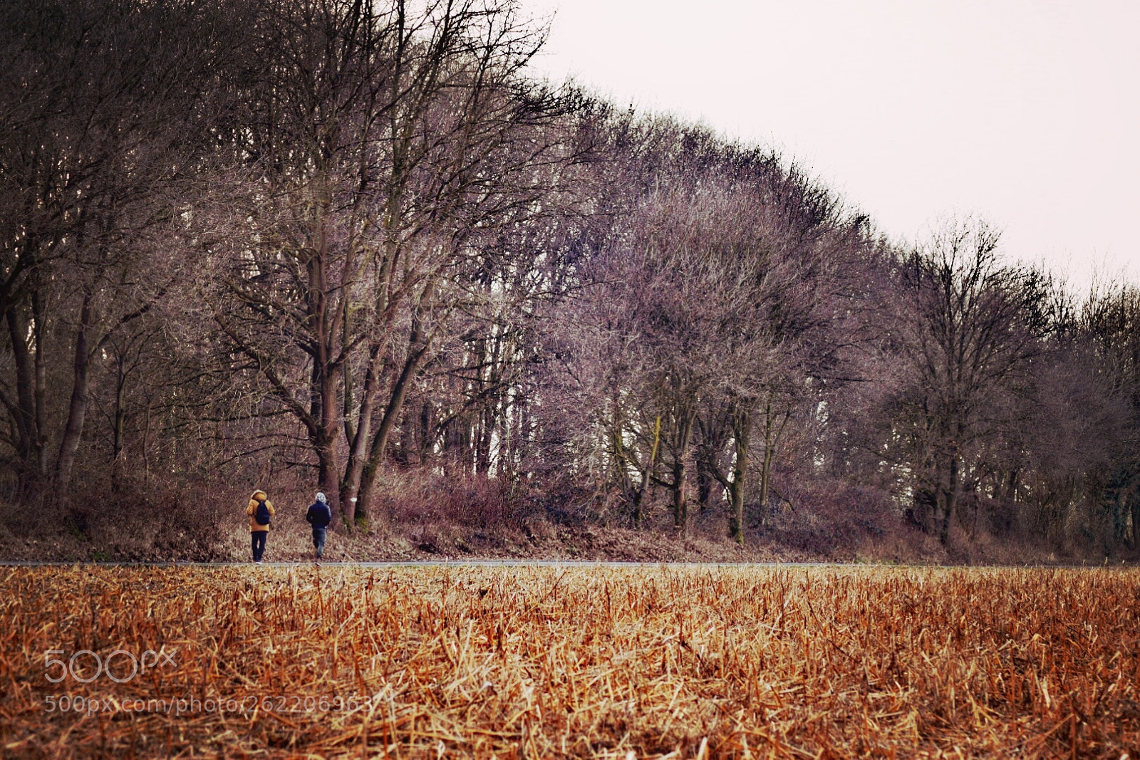 Nikon D5300 sample photo. Untitled photography
