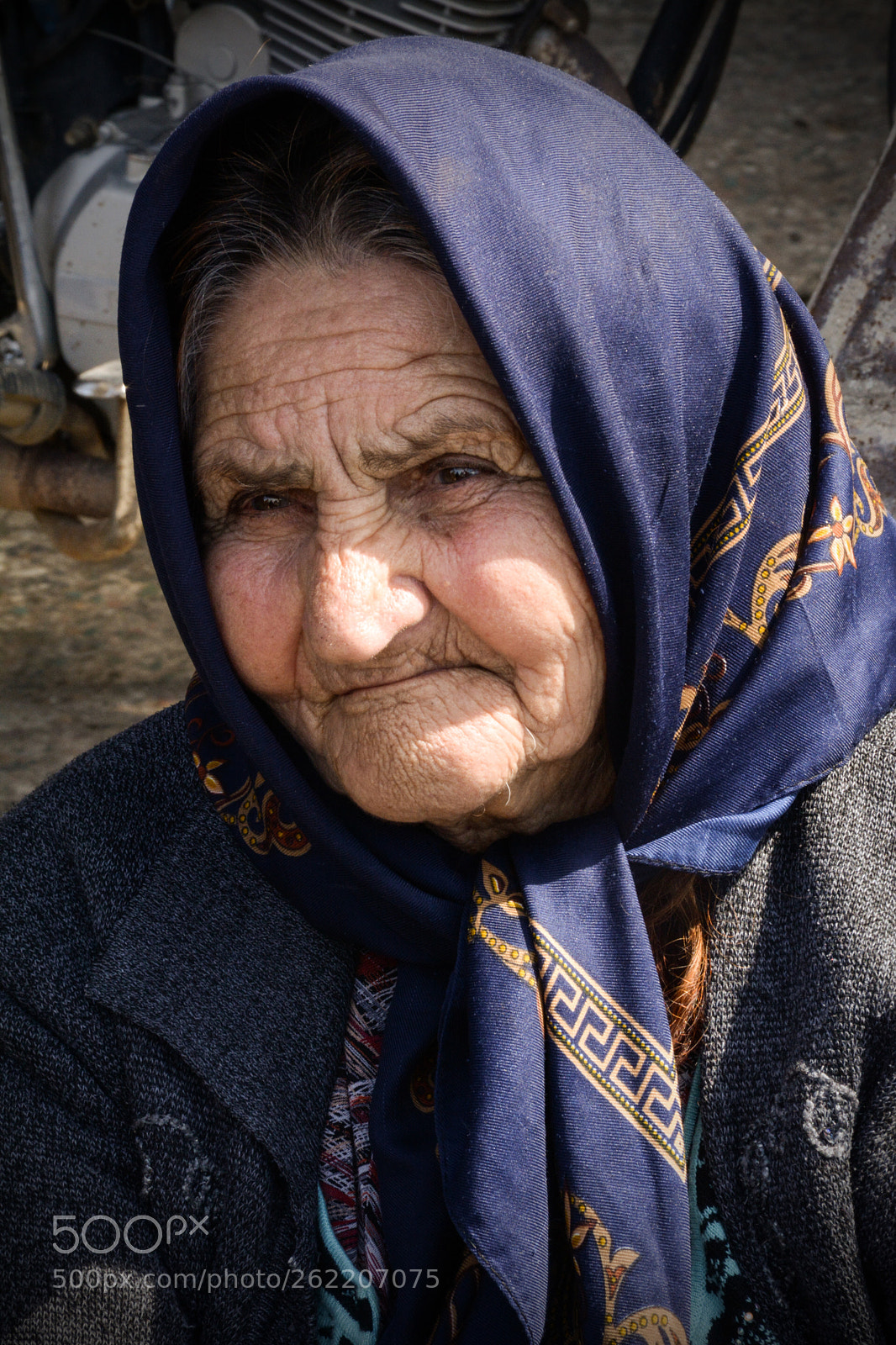 Nikon D7100 sample photo. Untitled photography
