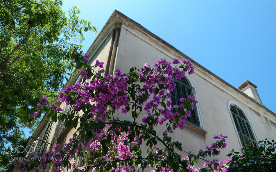 Samsung NX30 sample photo. ... photography