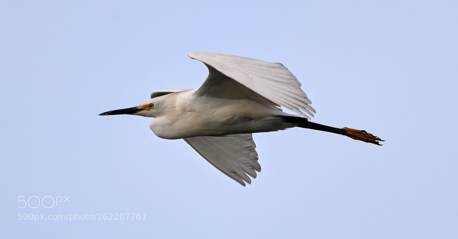 Canon EOS-1D X Mark II sample photo. 06-14-18-0022595.jpg photography