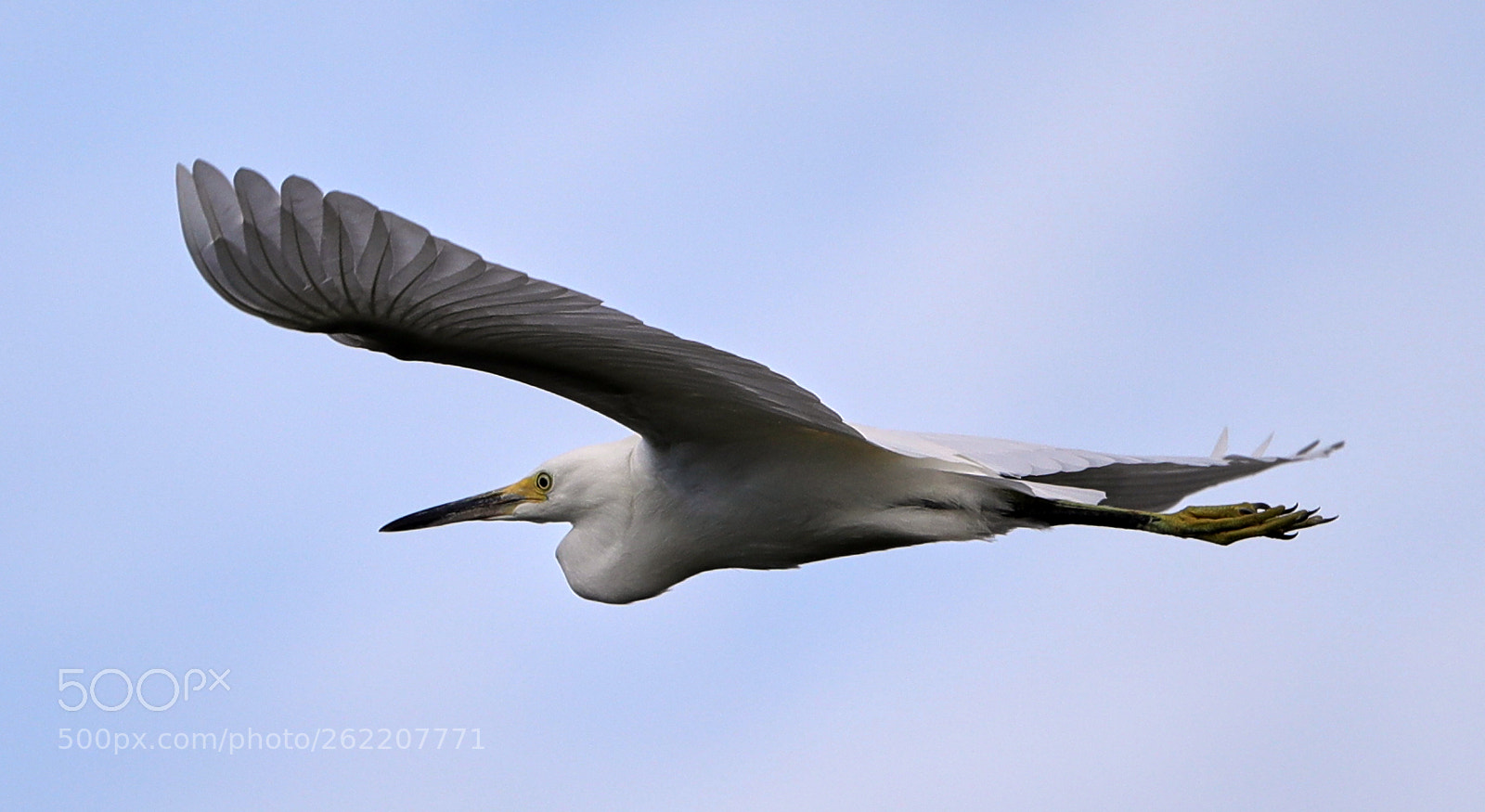 Canon EOS-1D X Mark II sample photo. 06-14-18-0022591.jpg photography