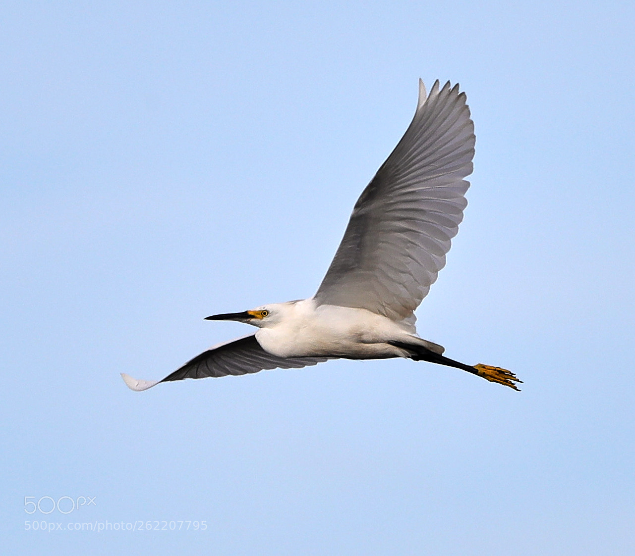Canon EOS-1D X Mark II sample photo. 06-14-18-0022583.jpg photography