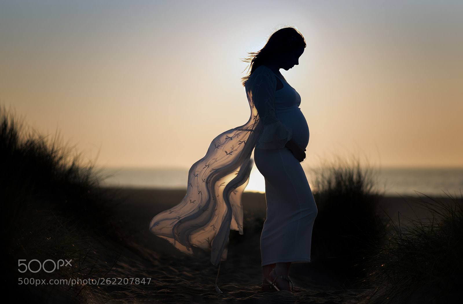 Nikon D750 sample photo. The beauty of maternity photography