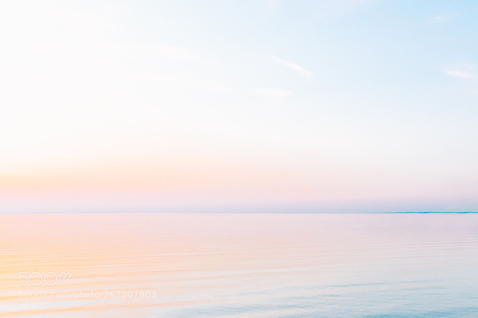 Canon EOS 5D Mark IV sample photo. Pastel photography