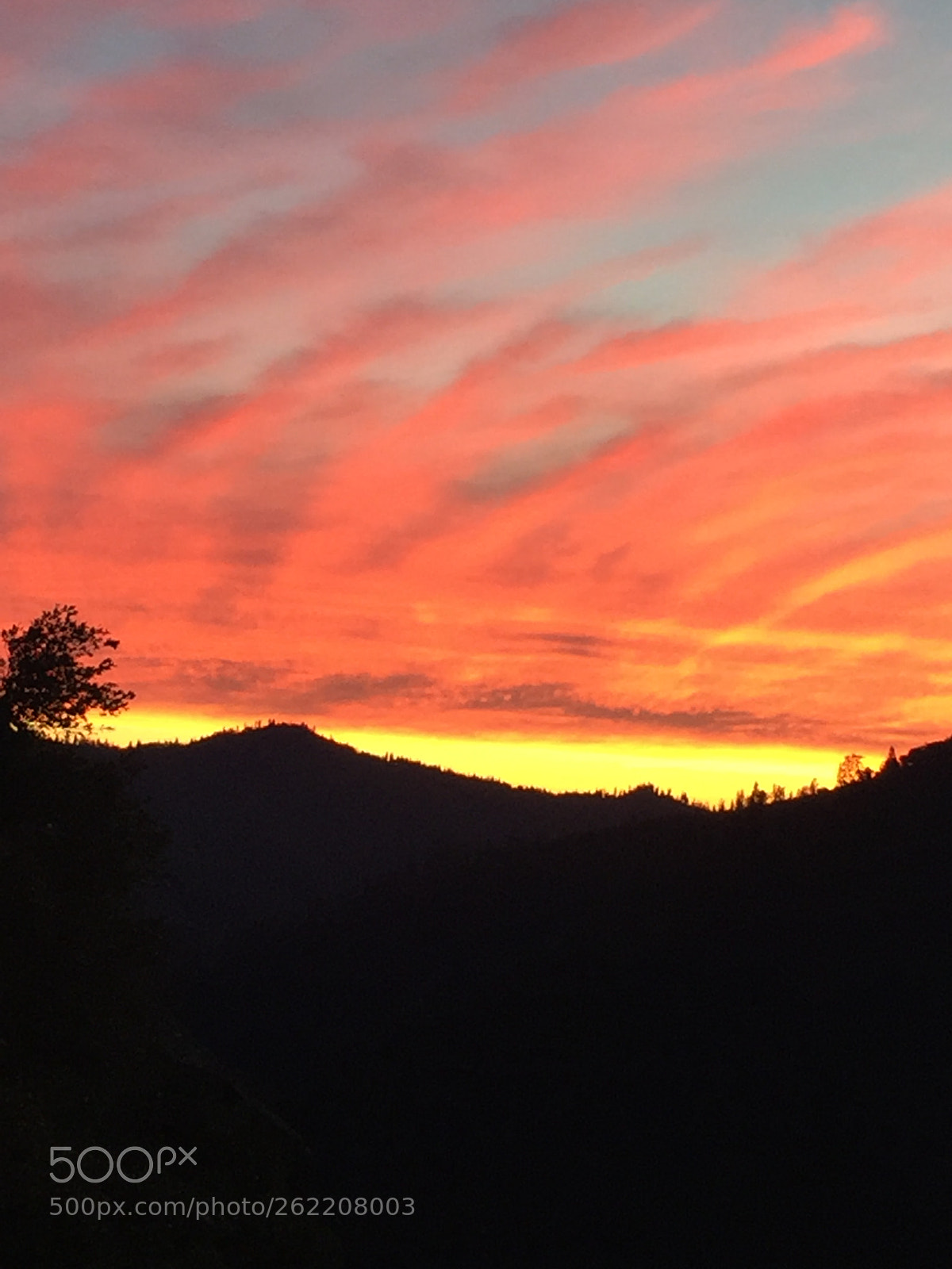 Apple iPhone 6 Plus sample photo. Redsky photography