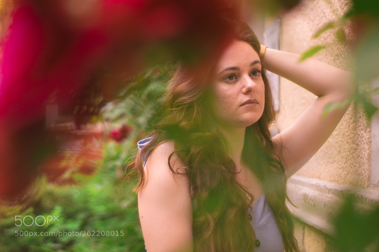 Nikon D3300 sample photo. Rose photography