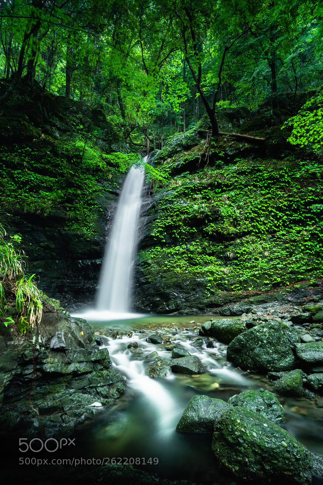 Canon EOS-1D X Mark II sample photo. Otaki waterfall photography