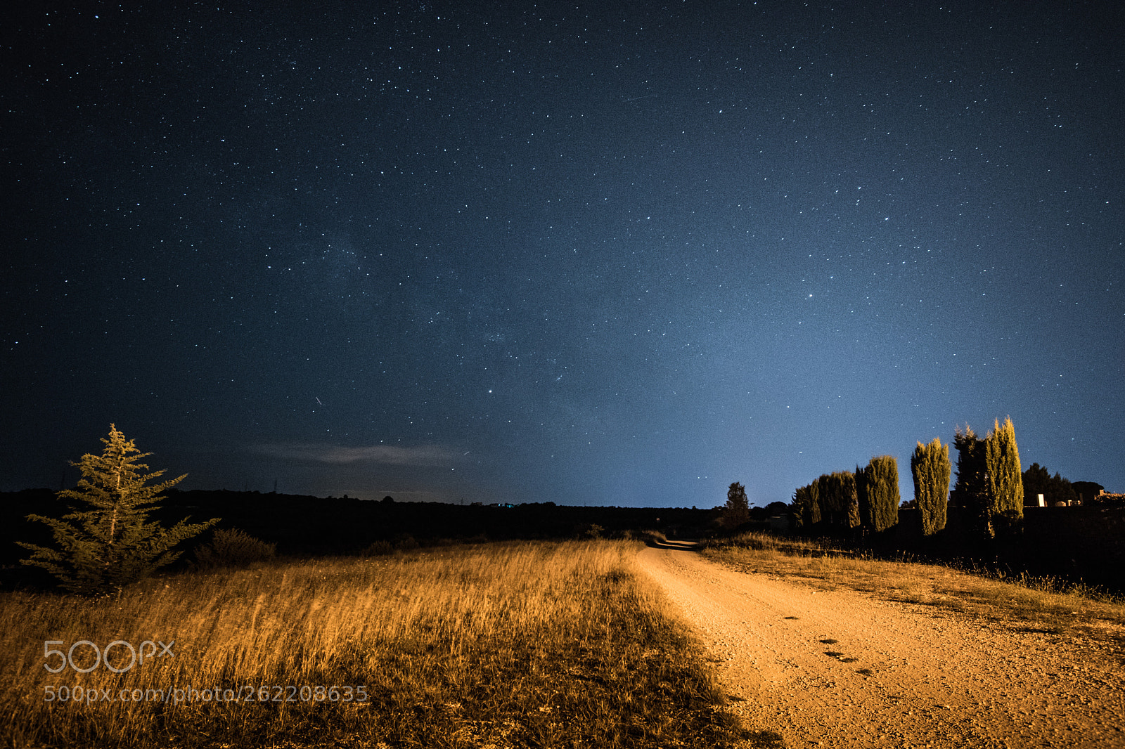 Nikon D5600 sample photo. Under the stars #1 photography