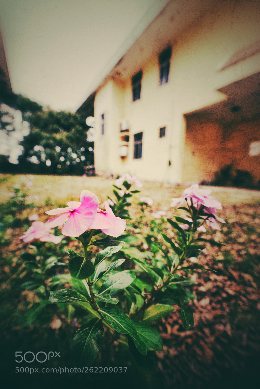 Sony a7R II sample photo. Untitled photography