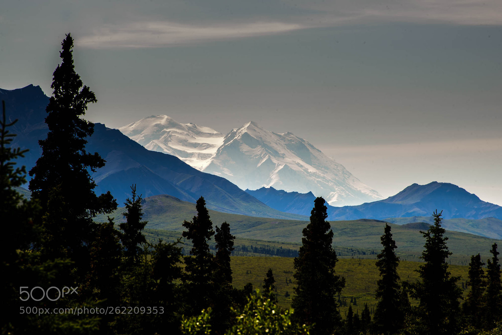Nikon D600 sample photo. Denali photography