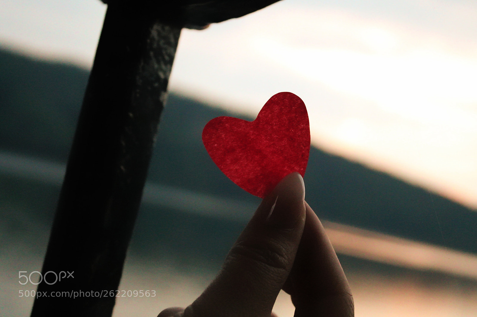 Canon EOS 1100D (EOS Rebel T3 / EOS Kiss X50) sample photo. Heart photography