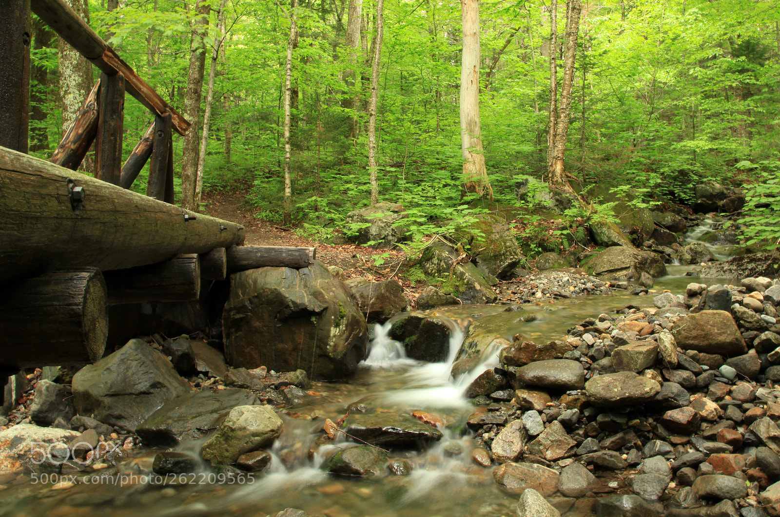 Canon EOS 5D Mark II sample photo. Brook across photography