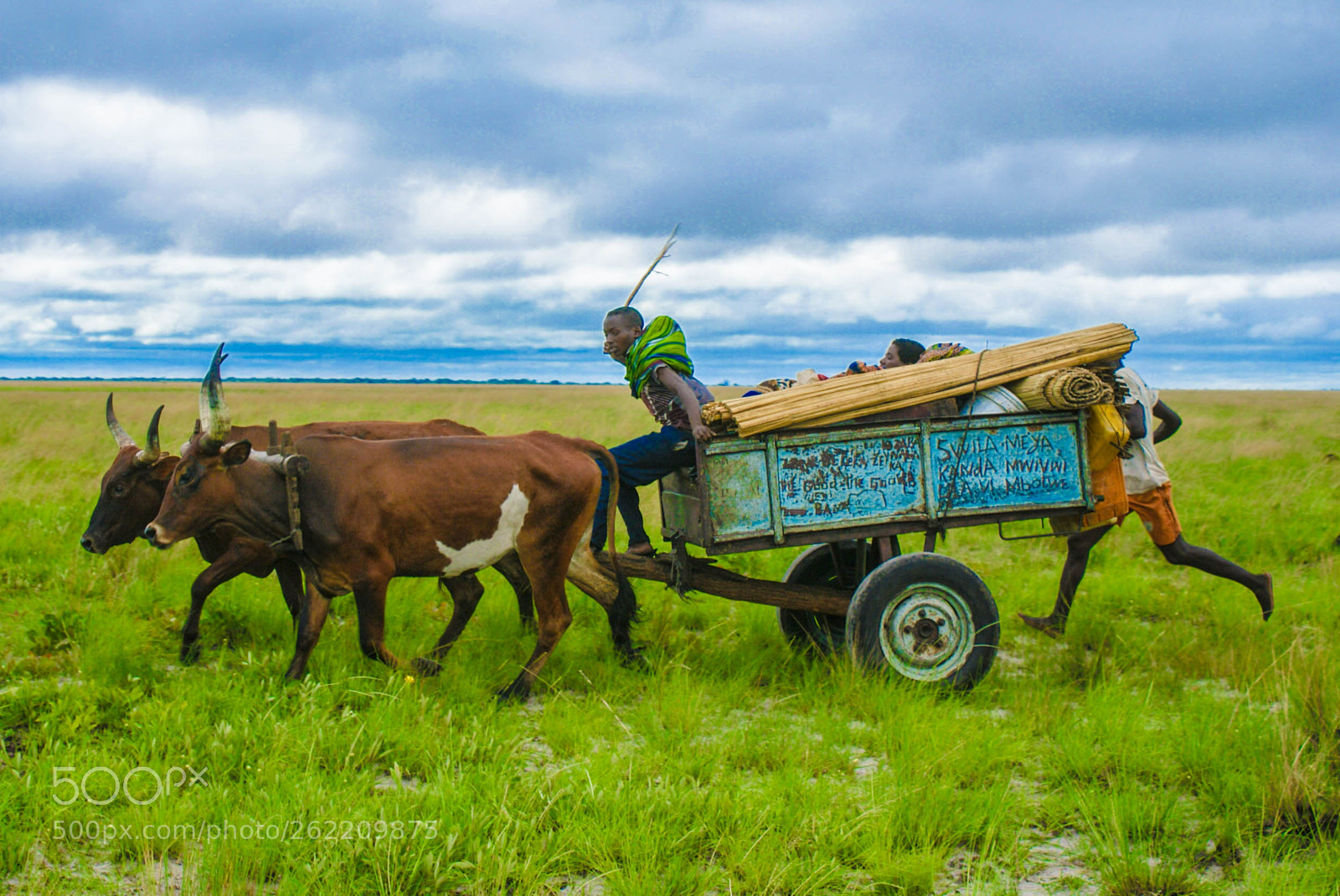 Sony Alpha DSLR-A300 sample photo. Scenes from liuwa plains photography