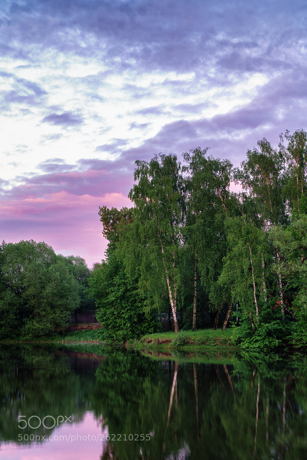 Sony a7R III sample photo. In purple clouds photography