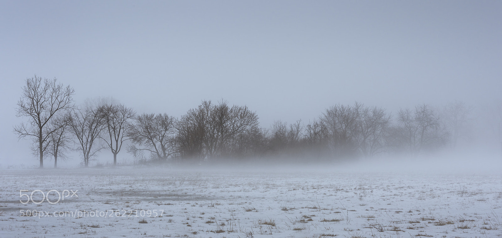 Nikon D810 sample photo. Frosted trees photography