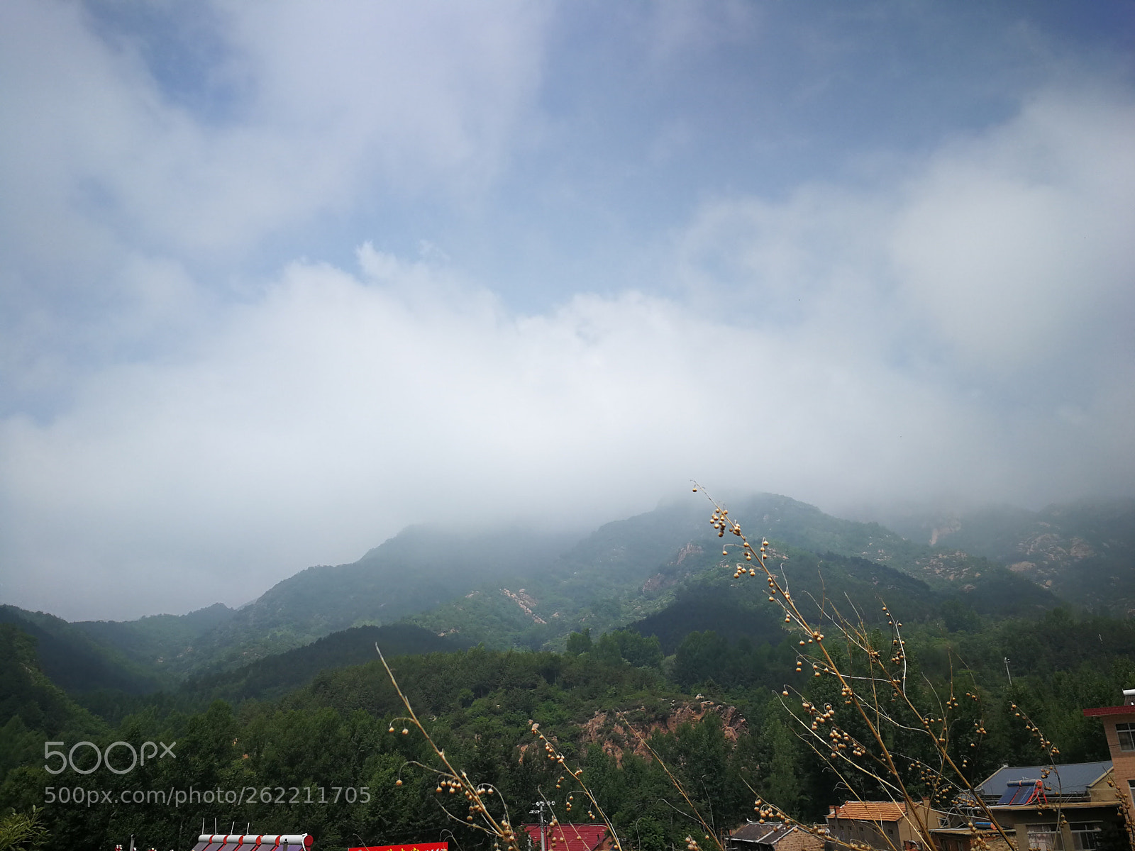 HUAWEI P10 sample photo. Untitled photography